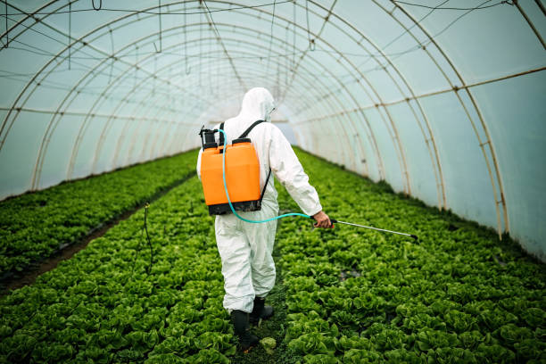 Best Pest Control Near Me in Astoria, OR