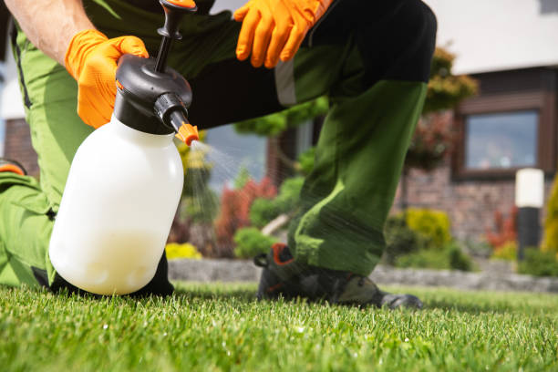Best Best Pest Control Companies  in Astia, OR