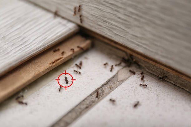 Astoria, OR Pest Control Company