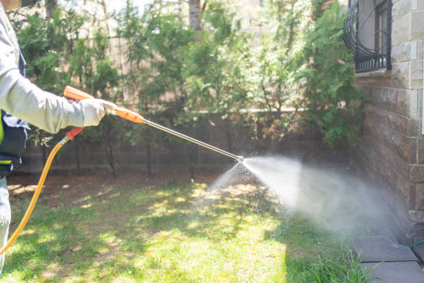 Flea Control Services in Astoria, OR
