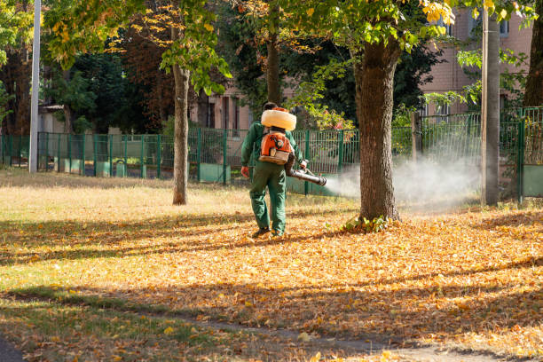 Best Insect Control  in Astia, OR