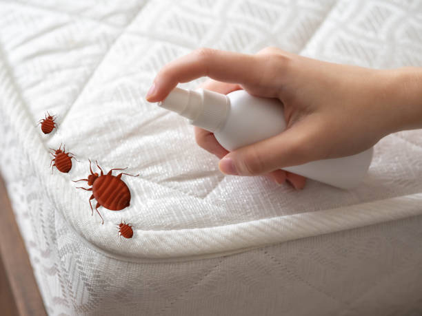 Best Pest Inspection Near Me  in Astia, OR