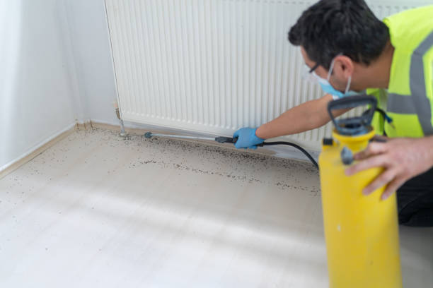 Best Ant Control Services  in Astia, OR